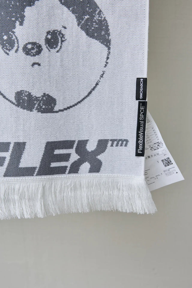 PRESENTS VARIOUS ARTISTS BLANKET FVS×BS［FVSxBODYSONG.］