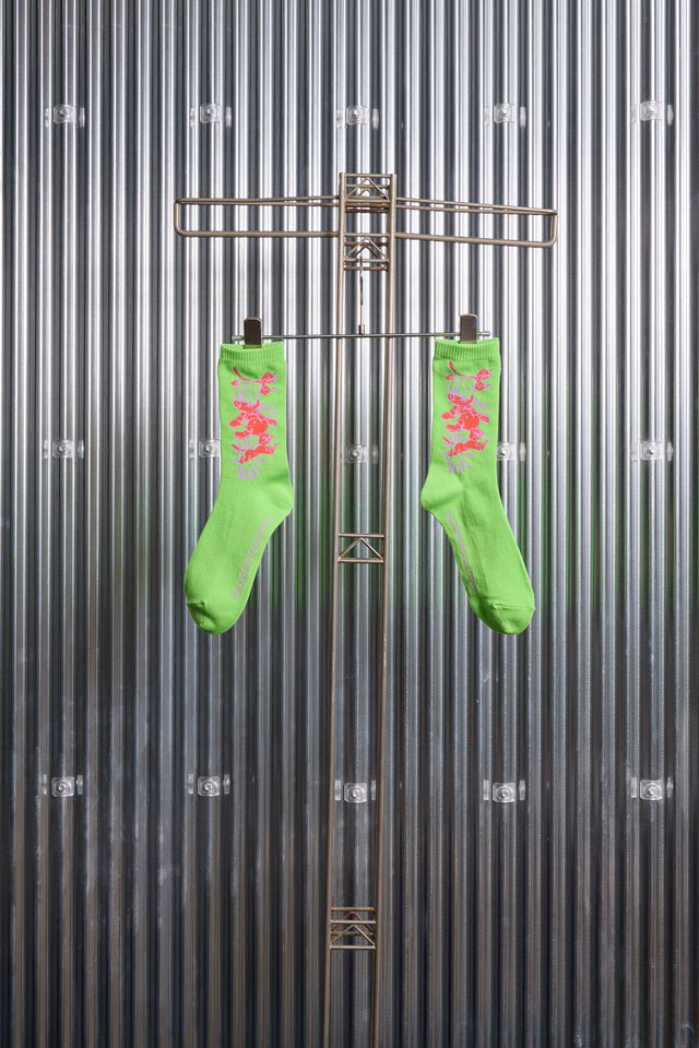 BASIC SOCKS / CATI［FlexibleVisual SPCE™］